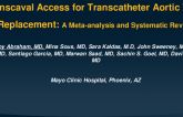 TCT 516: Transcaval Access for Transcatheter Aortic Valve Replacement: A Meta-analysis and Systematic Review
