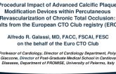 Procedural Impact of Advanced Calcific Plaque Modification Devices Within Percutaneous Revascularization of Chronic Total Occlusions Results From the European CTO Club Registry (ERCTO)