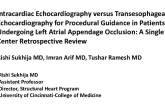 TCT 698: Intracardiac Echocardiography versus Transesophageal Echocardiography for Procedural Guidance in Patients Undergoing Left Atrial Appendage Occlusion: A Single Center Retrospective Review
