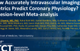 TCT 352: How Accurately Intravascular Imaging Metrics Predict Coronary Physiology? A Lesion-Level Meta-analysis