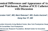 Anatomical Differences and Appearance of Amulet and Watchman, Position of ICE Catheter with Discussion