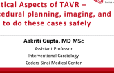 Practical Aspects of TAVR: Procedural Planning, Imaging, and How to Do These Cases Safely