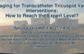 Imaging for Transcatheter Tricuspid Valve Interventions: How to Reach the Expert Level?