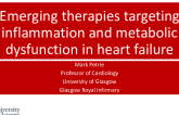 Emerging Therapies Targeting Inflammation and Metabolic Dysfunction in Heart Failure
