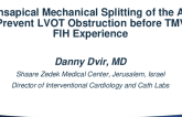 Transapical Mechanical Splitting of the AML to Prevent LVOT Obstruction Before TMVR: FIH Experience