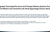 TCT 545: Integrated Transseptal Puncture and Therapy Delivery Systems Provide Highly Efficient and Consistent Left Atrial Appendage Closure Solutions