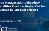 TCT 380: Three Intravascular Lithotripsy Modalities Produce Similar Calcium Fractures in Calcified Arteries