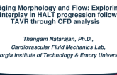 TCT 732: Bridging Morphology and Flow: Exploring Their interplay in HALT Progression fFllowing TAVR Through CFD Analysis