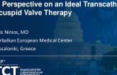 My Perspective on an Ideal Transcatheter Tricuspid Valve Therapy