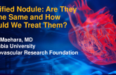 Calcified Nodules: Are They All the Same and How Should We Treat Them?