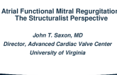 Atrial FMR: The Structuralist Perspective – Transcatheter Therapies