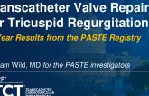 Transcatheter Leaflet Repair for Tricuspid Regurgitation: 1-Year Results From the PASTE Registry