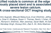 TCT 552: Calcified nodule is common at the edge of a previously placed stent and is associated with severe lesion calcium. A cross-sectional OCT imaging study
