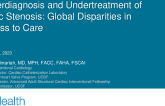 Underdiagnosis and Undertreatment of Aortic Stenosis: Global Disparities in Access to Care