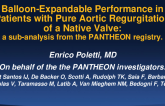 TCT 203: Balloon-Expandable Performance in Inoperable Patients with Pure Aortic Regurgitation of a Native Valve: a Sub-Analysis from the PANTHEON International Project