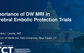 Importance of DW-MRI in Cerebral Embolic Protection Trials