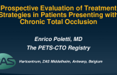 Prospective Evaluation of Treatment Strategies in Patients Presenting With Chronic Total Occlusion: The PETS-CTO Registry
