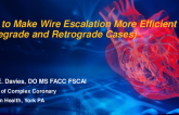 How to Make Wire Escalation More Efficient (Antegrade and Retrograde Cases)
