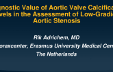 TCT 391: Diagnostic Value of Aortic Valve Calcification Levels in the Assessment of Low-Gradient Aortic Stenosis