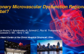 TCT 754: Is Coronary Microvascular Dysfunction Regional or Global?