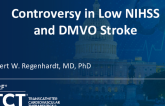 Controversy in Low NIHSS/MEDIUM VO/DISTAL VO Strokes