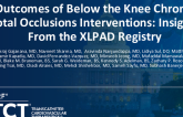 TCT 396: Outcomes of Below the Knee Chronic Total Occlusions Interventions: Insights From the XLPAD Registry