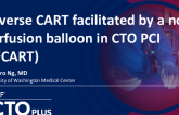 Reverse CART Facilitated by a Novel Perfusion Balloon in Chronic Total Occlusion Percutaneous Coronary Intervention (R2CART)