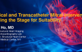 Imaging Lecture: Setting the Stage of Suitability for Surgical and Transcatheter Mitral Intervention