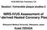 TCT 252: NIRS-IVUS assessment of OCT-derived Healed Coronary Plaques