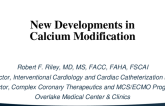 New Developments in Calcium Modification