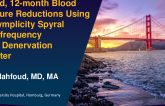 TCT 267: Pooled, 12-month Blood Pressure Reductions Using the Symplicity Spyral Radiofrequency Renal Denervation Catheter