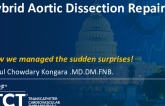 TCT 1530: Hybrid Aortic Dissection Repair: How We Managed the Sudden Surprises