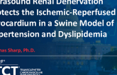 Final Results of the Novel Healing-Targeted DES With Synchronized Antiproliferative Drug Delivery to Target Smooth Muscle Cell Proliferation After DES Implantation in Coronary Artery Disease: 5-Year Results of the PIONEER III Trial