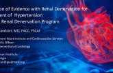 SPYRAL Clinical Trial Program (Radio-Frequency Renal Denervation)