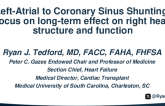 Atrial to Coronary Sinus Shunting: Focus on Long Term Effect of RV Structure and Function