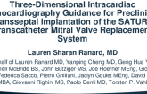 Three-Dimensional Intracardiac Echocardiography Guidance for Preclinical Transseptal Implantation of the SATURN Transcatheter Mitral Valve Replacement System