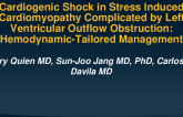 Cardiogenic Shock in Stress Induced Cardiomyopathy Complicated by Left Ventricular Outflow Obstruction: Hemodynamic-Tailored Management