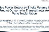 TCT 459: Cardiac power output or stroke volume index to predict outcome in transcatheter aortic valve implantation