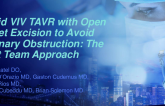 Hybrid VIV TAVR With Open Leaflet Excision to Avoid Coronary Obstruction: The Heart Team Approach