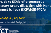 TCT 98: A Study to Exhibit Percutaneous Coronary Artery Dilatation With Non-Slip Element Balloon (EXPANSE-PTCA)