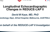 Longitudinal Echocardiographic Changes in REDUCE-LAP II