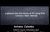 A glimpse into the future of PCI using DCB: Lessons I have Learned