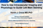 How to Use Intravascular Imaging and Physiology to Guide Bifurcation Stenting (With Case Examples)
