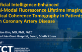 Artificial Intelligence-Enhanced Dual-Modal Fluorescence Lifetime Imaging-Optical Coherence Tomography in Patients with Coronary Artery Disease