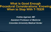 Procedural Considerations: Knowing When to Stop With T-TEER (What is Good Enough)