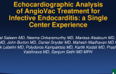 TCT 287: Echocardiographic Analysis of Angiovac Treatment for Infective Endocarditis: a Single Center Experience