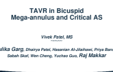 TAVR in Bicuspid Mega-Annulus and Critical AS