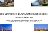 What is the Optimal Post-LAAO Antithrombotic Regimen?