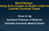 Bad Kidneys: Using Echo Fusion to Guide LAAO for Low/No Contrast Cases