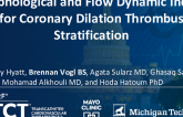 TCT 356: Morphological and Flow Dynamic Indices for Coronary Dilation Thrombus Stratification